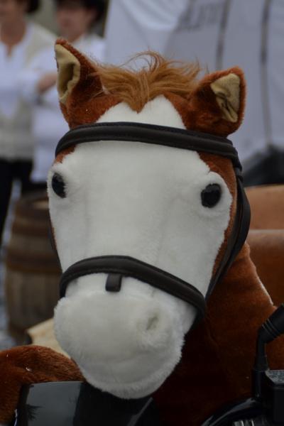 2015-03-28 CARNAVAL à MARNAZ (32) (683x1024)